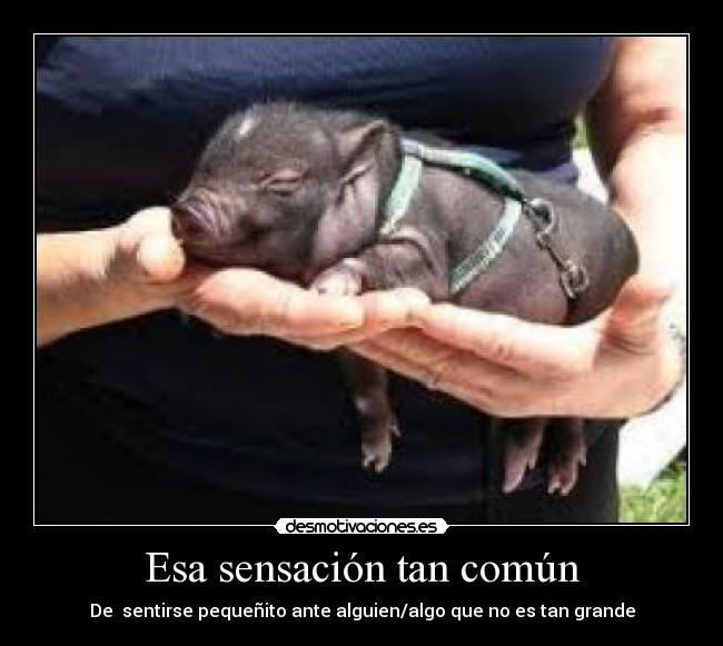 carteles sentirse pequenito desmotivaciones