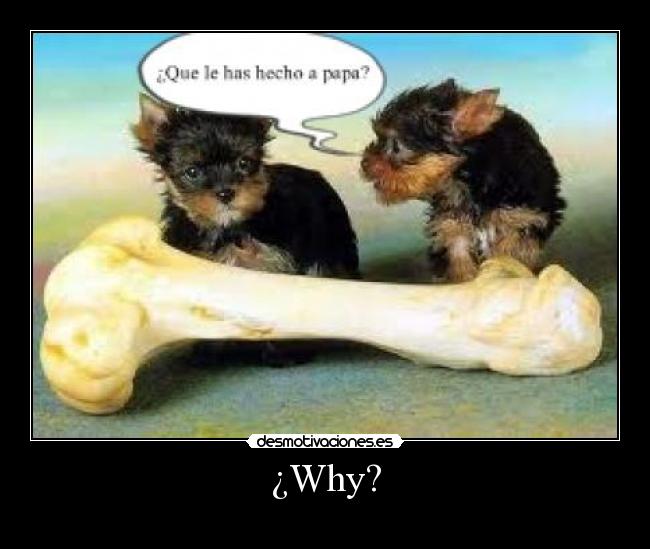 ¿Why? - 