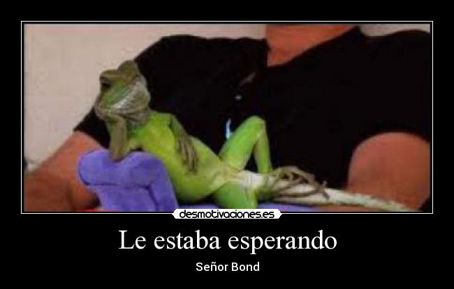 Le estaba esperando -