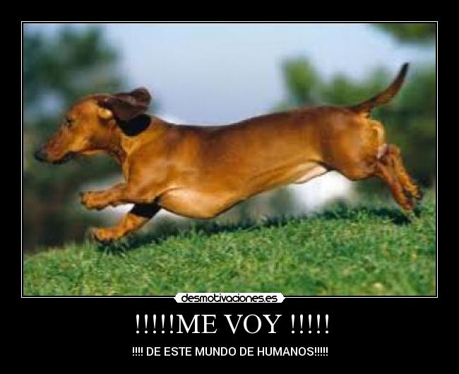 !!!!!ME VOY !!!!! - 