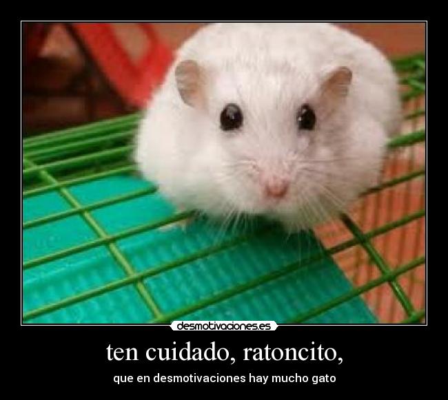 ten cuidado, ratoncito, - 