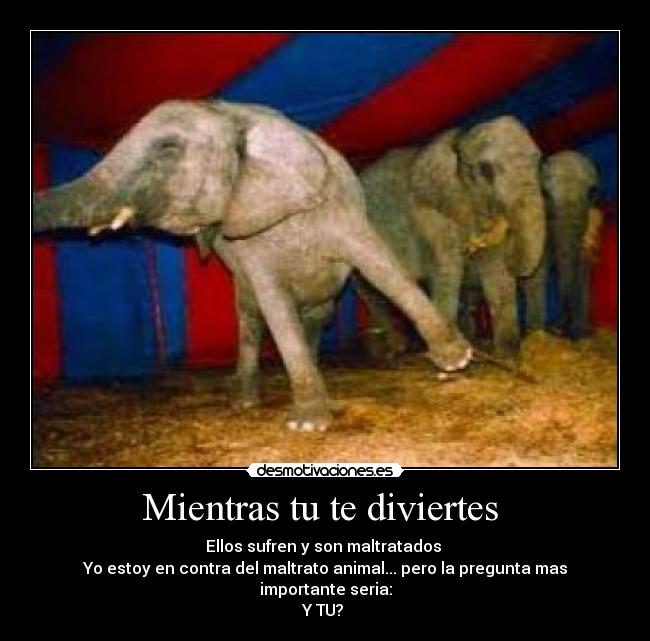 Mientras tu te diviertes  - 