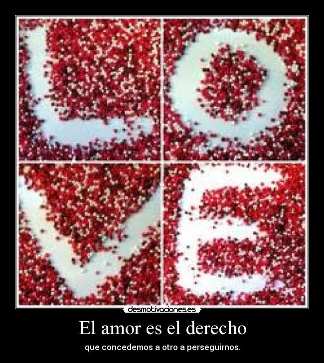 El amor es el derecho - 