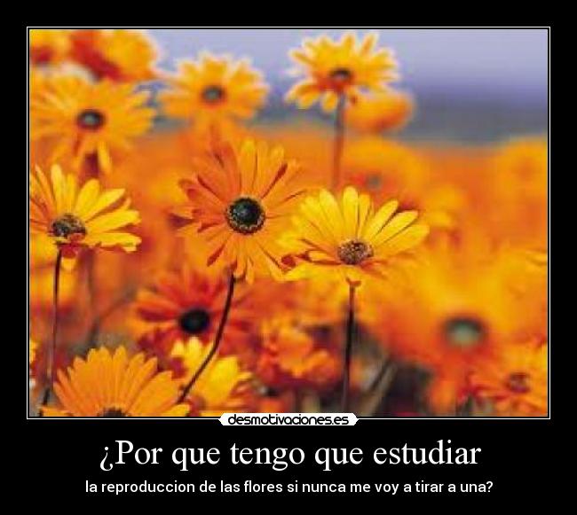 ¿Por que tengo que estudiar -