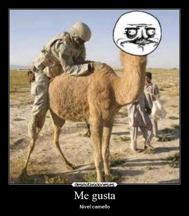 Me gusta -