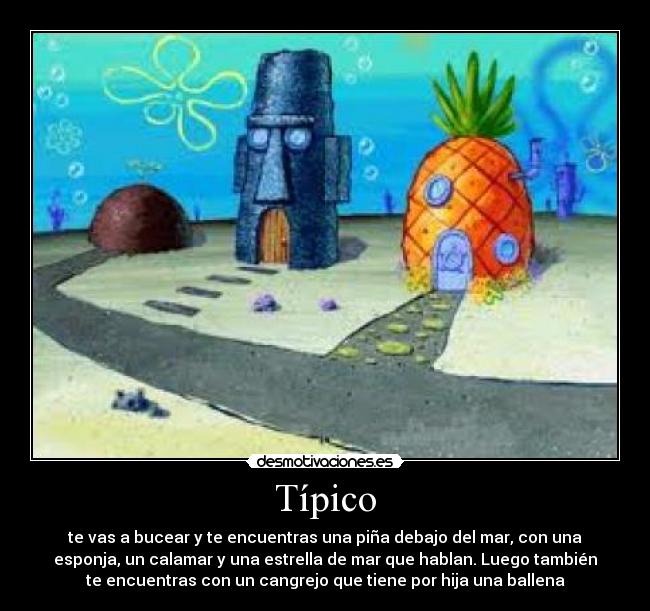 Típico - te vas a bucear y te encuentras una piña debajo del mar, con una
esponja, un calamar y una estrella de mar que hablan. Luego también
te encuentras con un cangrejo que tiene por hija una ballena