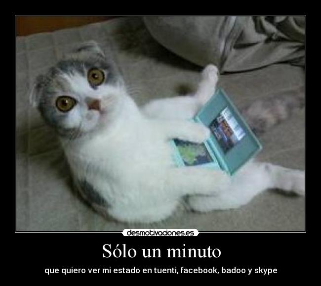 Sólo un minuto - que quiero ver mi estado en tuenti, facebook, badoo y skype