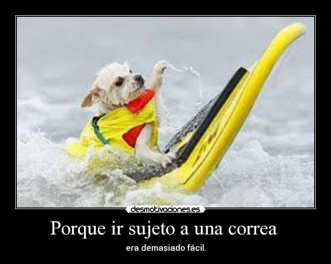 Porque ir sujeto a una correa -