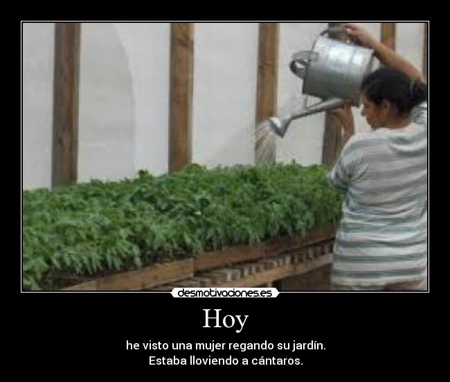 Hoy - he visto una mujer regando su jardín.
Estaba lloviendo a cántaros.