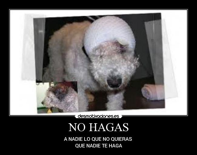 NO HAGAS - A NADIE LO QUE NO QUIERAS
QUE NADIE TE HAGA