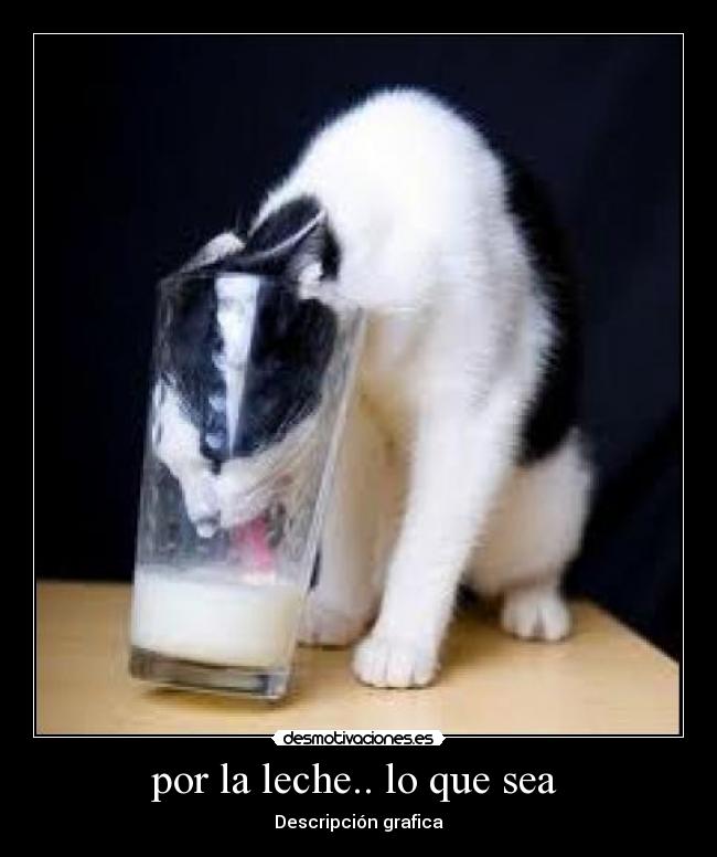 por la leche.. lo que sea - Descripción grafica