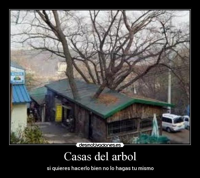 Casas del arbol - si quieres hacerlo bien no lo hagas tu mismo