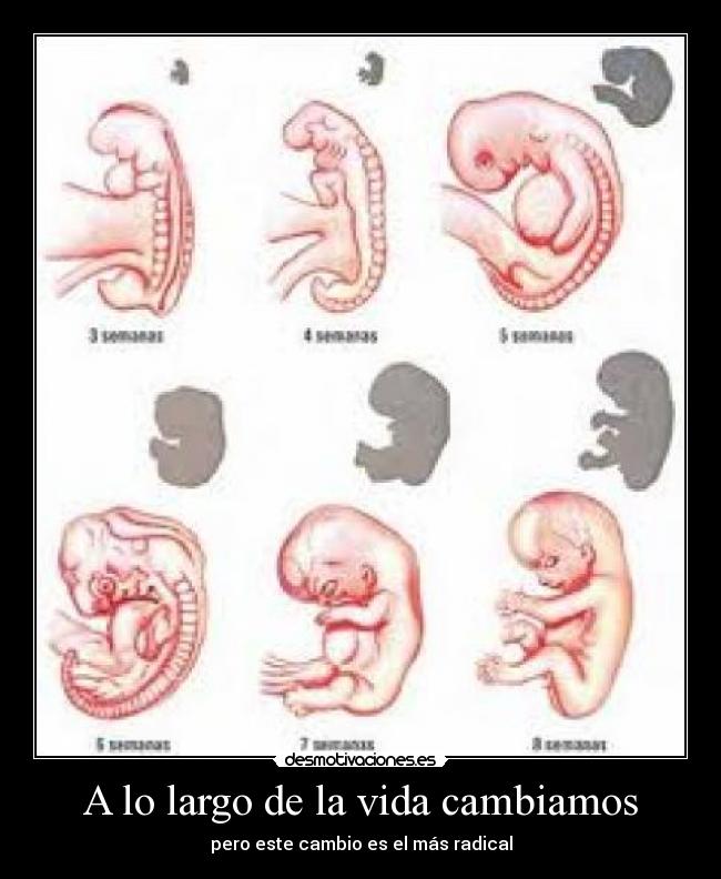 A lo largo de la vida cambiamos -