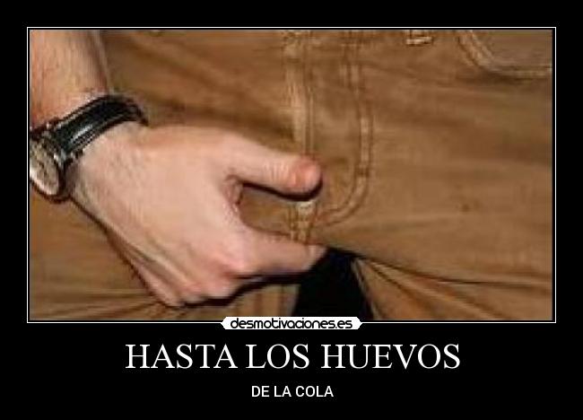 carteles todos cola principal desmotivaciones