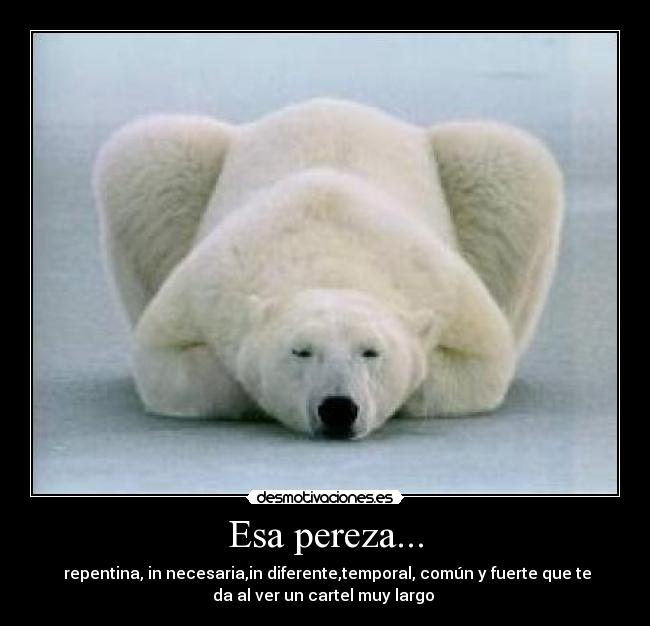 Esa pereza... - repentina, in necesaria,in diferente,temporal, común y fuerte que te
da al ver un cartel muy largo