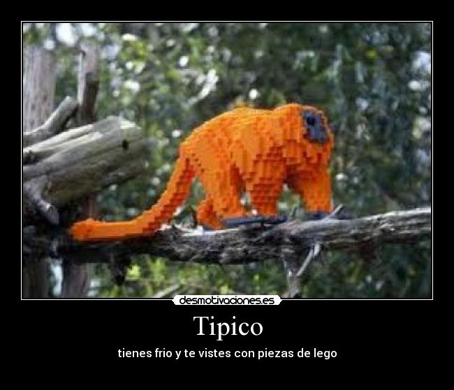 Tipico - 