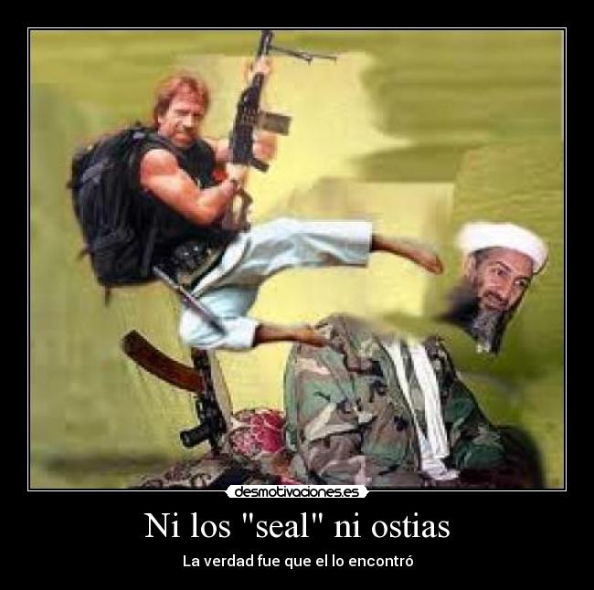 carteles los seal ostias desmotivaciones