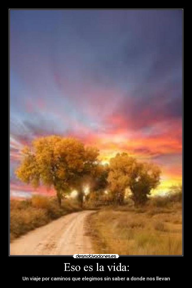 Eso es la vida: - 