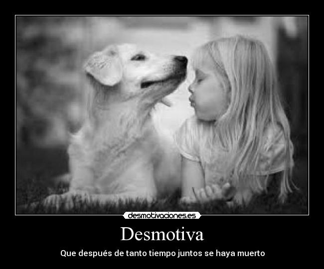 Desmotiva -