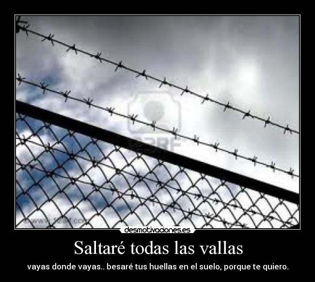 Saltaré todas las vallas - 