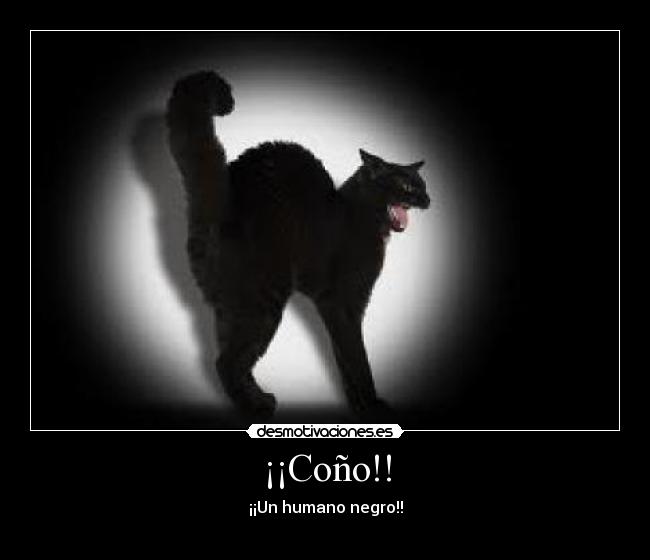 ¡¡Coño!! - 