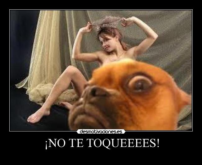 ¡NO TE TOQUEEEES! - 