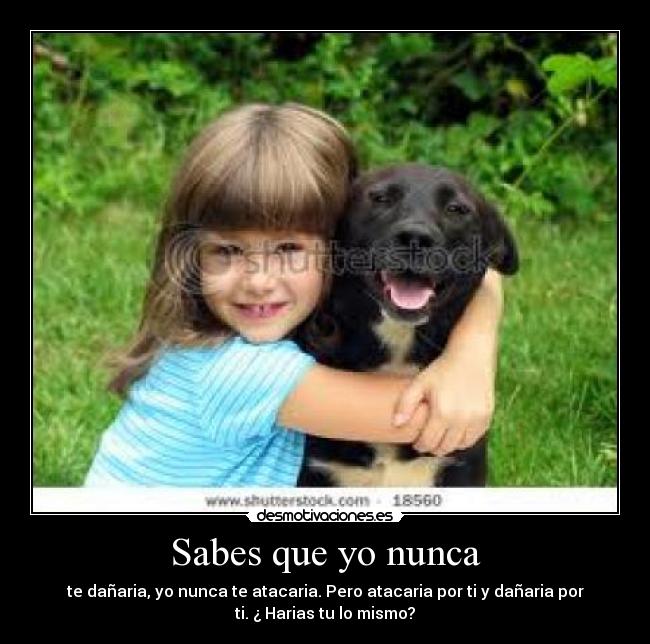 Sabes que yo nunca - te dañaria, yo nunca te atacaria. Pero atacaria por ti y dañaria por
ti. ¿ Harias tu lo mismo?