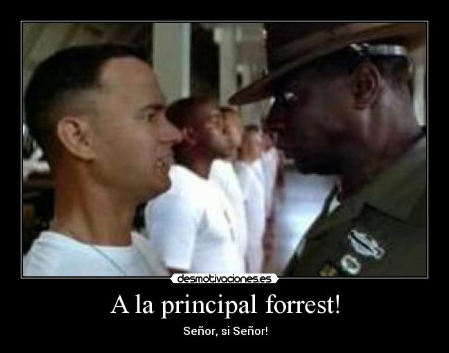 A la principal forrest! -