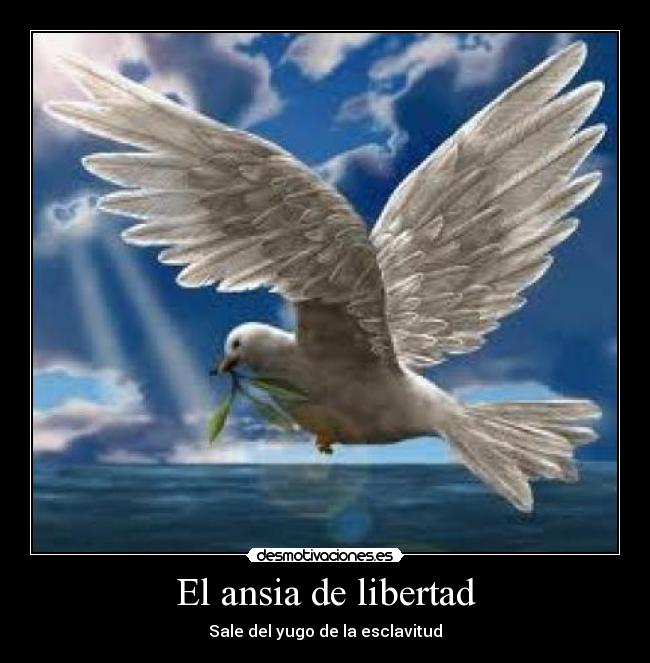 El ansia de libertad -