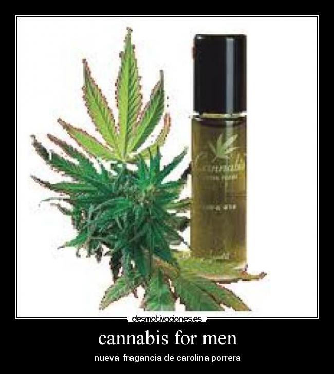 cannabis for men - 