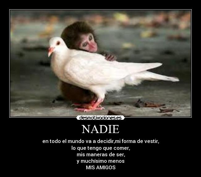 NADIE - en todo el mundo va a decidir,mi forma de vestir,
lo que tengo que comer,
mis maneras de ser,
y muchísimo menos
MIS AMIGOS