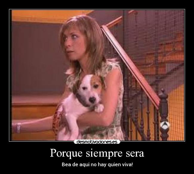 carteles gfrgtgrhtyhtyrg desmotivaciones