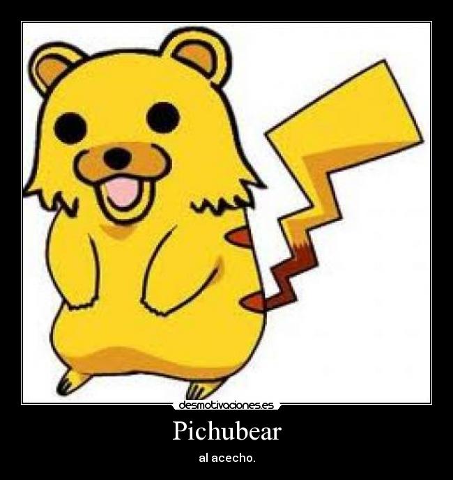 Pichubear - 
