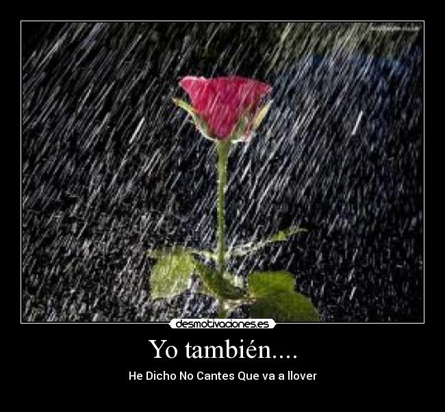 Yo también.... - 