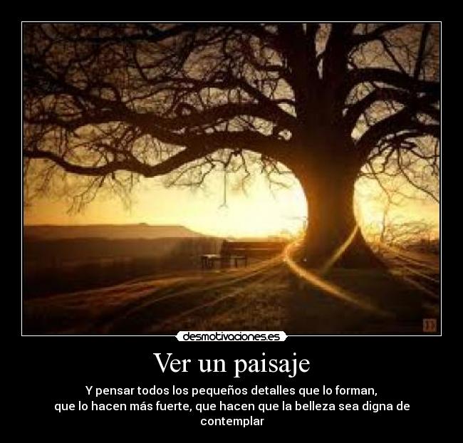 Ver un paisaje - Y pensar todos los pequeños detalles que lo forman,
que lo hacen más fuerte, que hacen que la belleza sea digna de contemplar