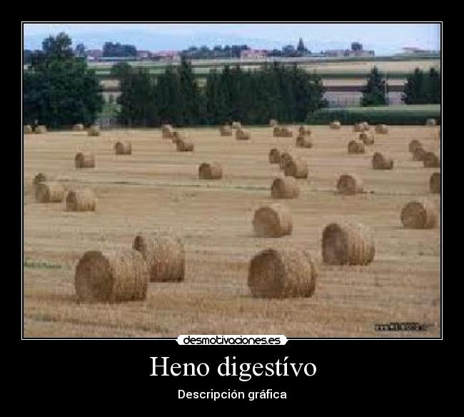 Heno digestívo - Descripción gráfica