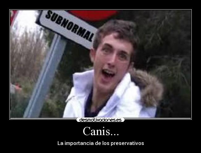 Canis... - La importancia de los preservativos