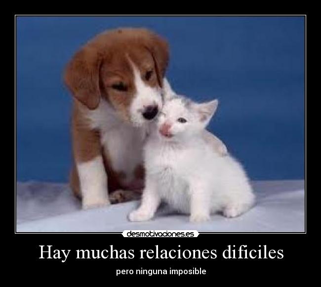Hay muchas relaciones dificiles - 