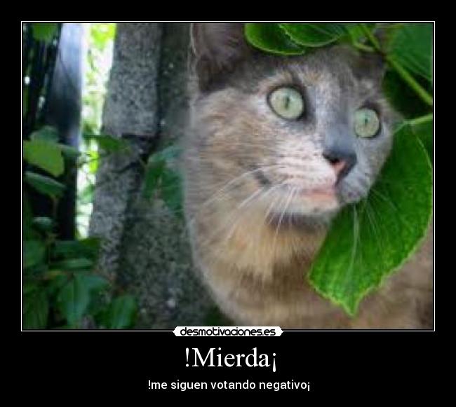 !Mierda¡ | Desmotivaciones