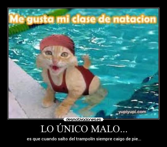 carteles mrtomatosauce desmotivaciones