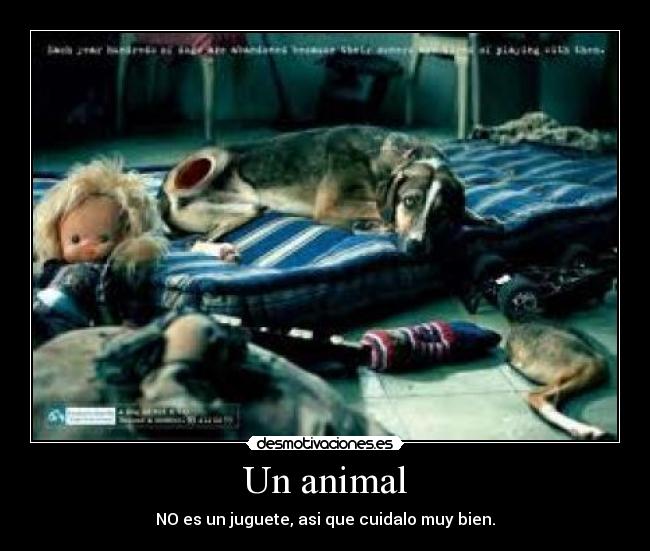 Un animal -