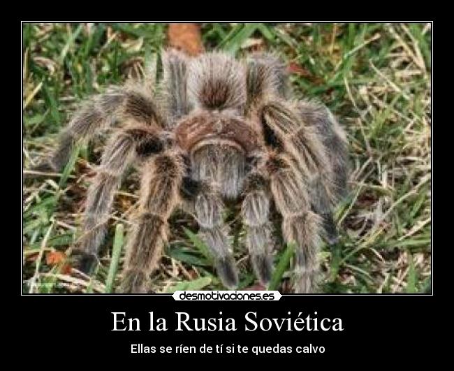 En la Rusia Soviética - 