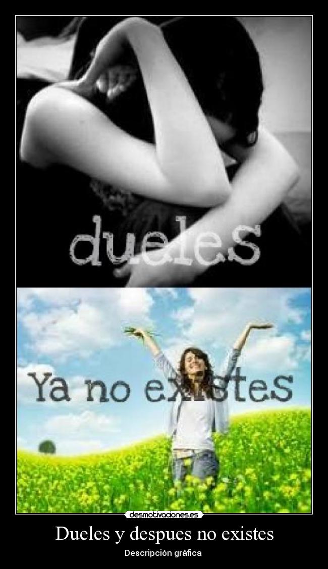 Dueles y despues no existes - Descripción gráfica