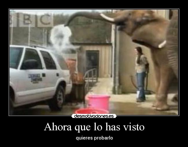 Ahora que lo has visto - quieres probarlo