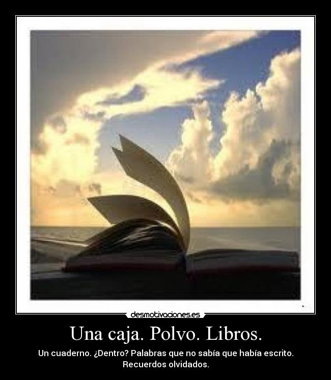 Una caja. Polvo. Libros. - 