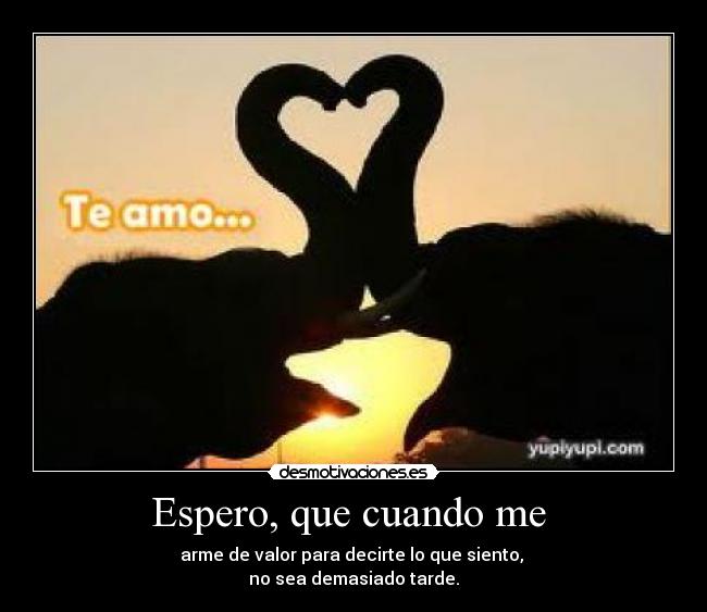 Espero, que cuando me - arme de valor para decirte lo que siento,
no sea demasiado tarde.