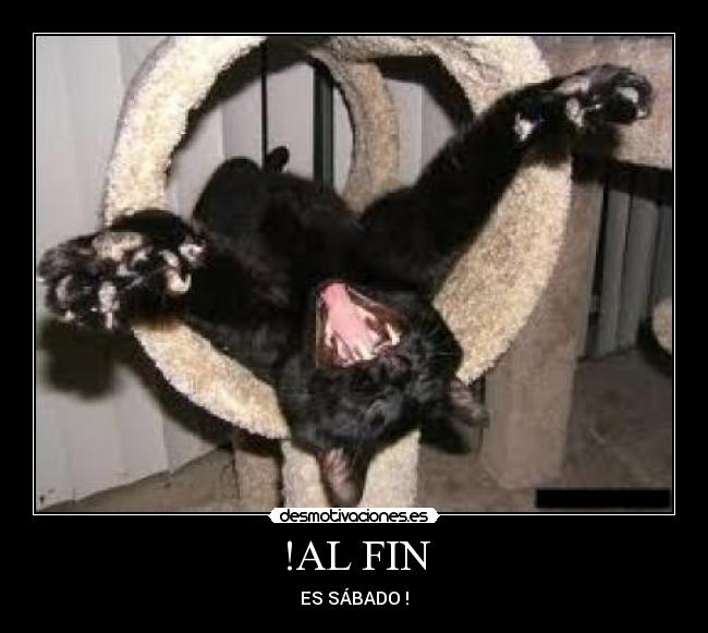 !AL FIN - ES SÁBADO !