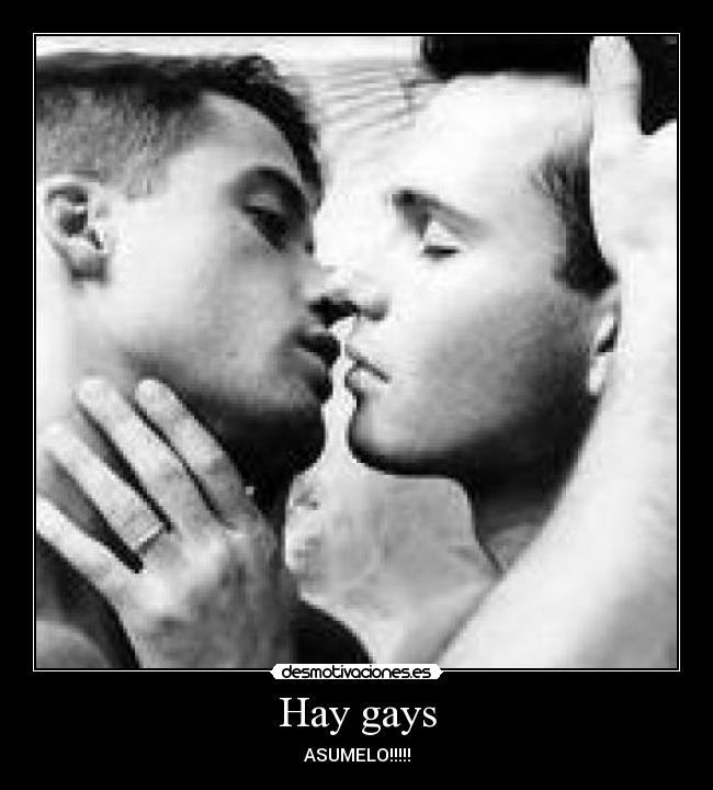 Hay gays -