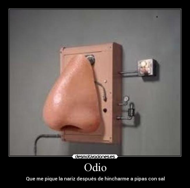 Odio - Que me pique la nariz después de hincharme a pipas con sal