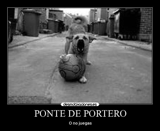 PONTE DE PORTERO - O no juegas